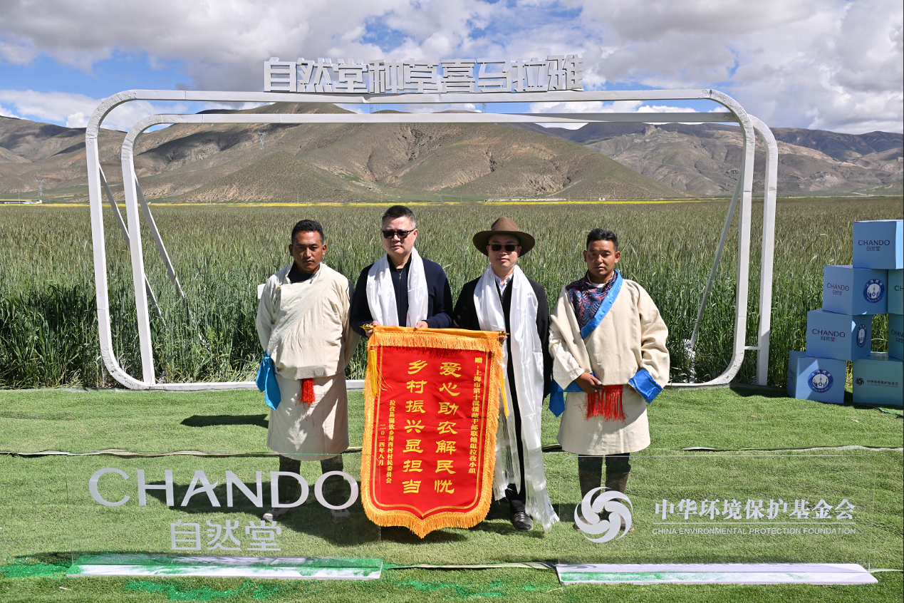 图片8.png