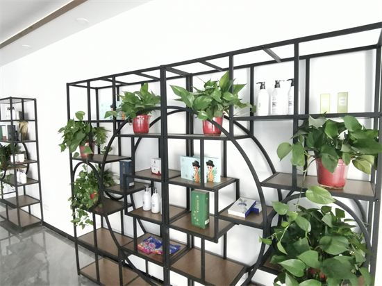绒言绒语调研闻草堂，解读美妆ip如何圈粉z世代