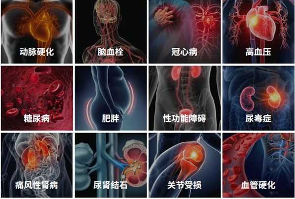 定海神珍携輕蘇安多肽益生菌 创新突破降酸科技 助力健康中国