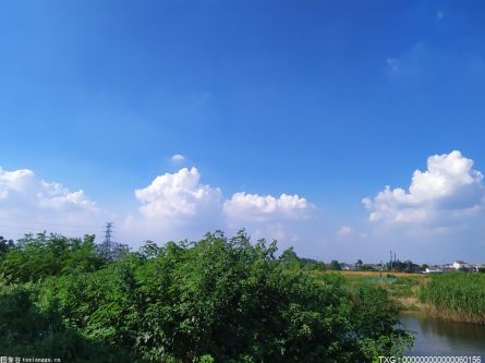 南水北调中线工程向4省市调水创历史新高 根本上改变受水区供水格局